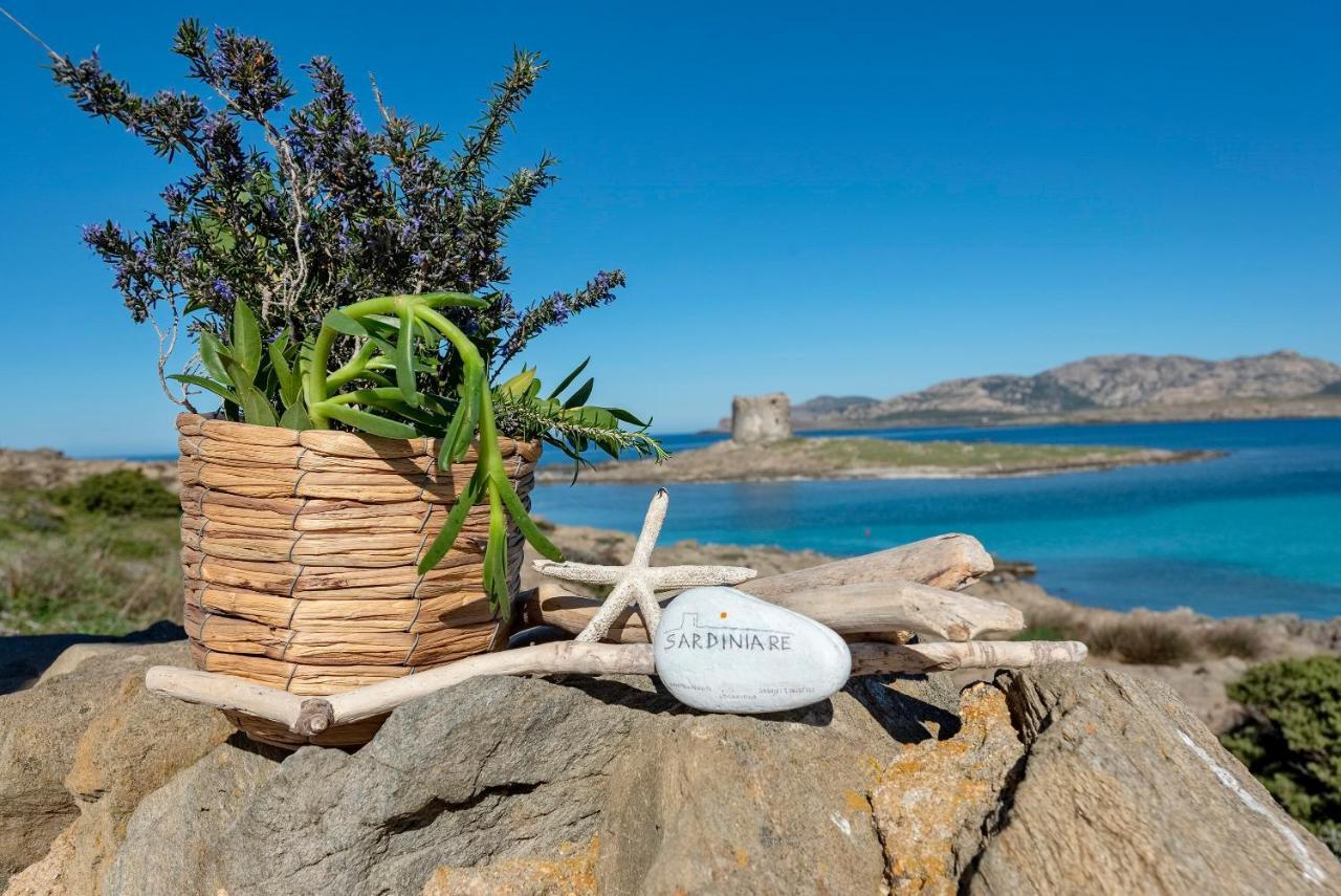 Sardinia Re - Villa Pelosa Стинтино Экстерьер фото