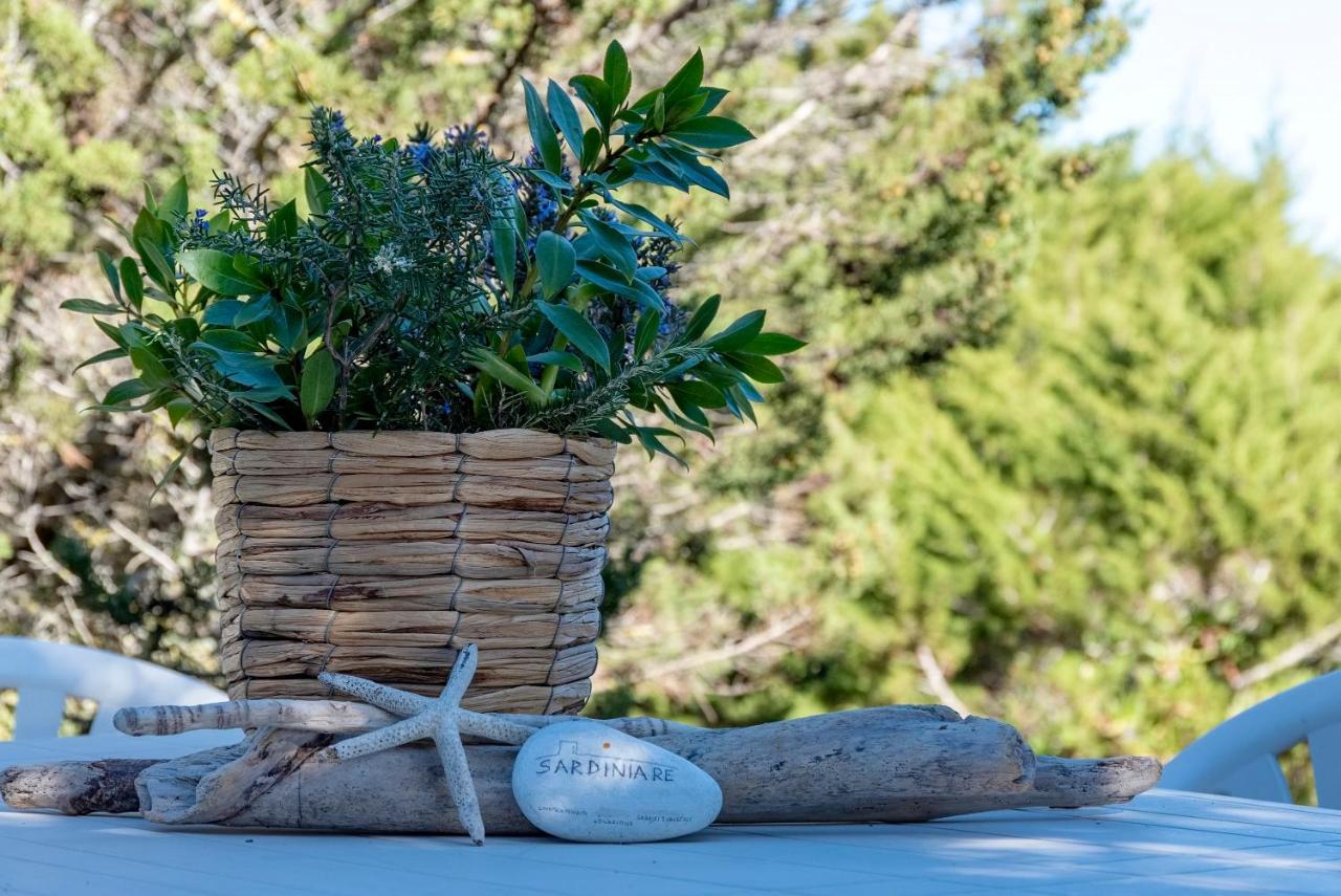 Sardinia Re - Villa Pelosa Стинтино Экстерьер фото