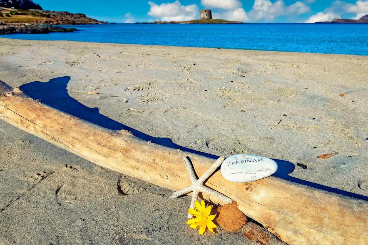Sardinia Re - Villa Pelosa Стинтино Экстерьер фото