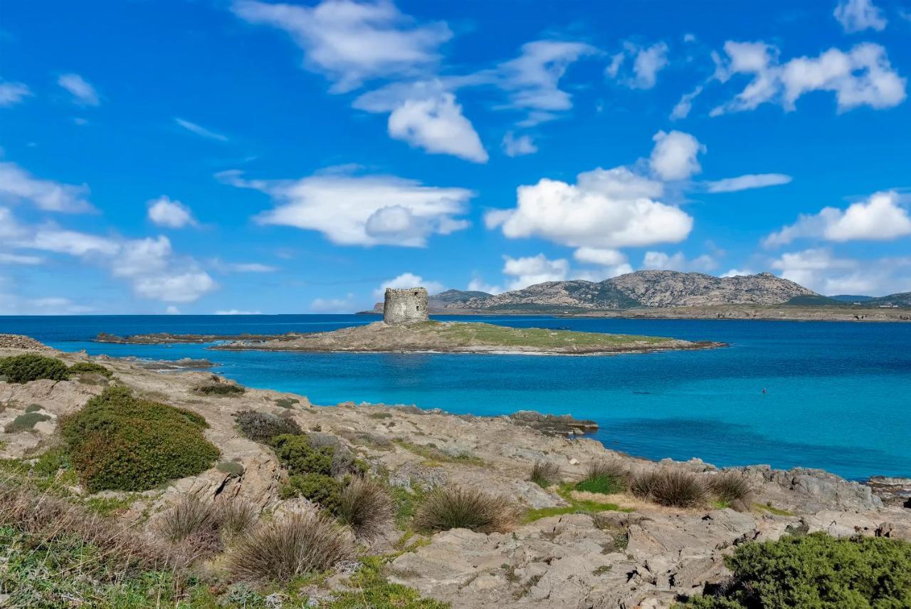 Sardinia Re - Villa Pelosa Стинтино Экстерьер фото
